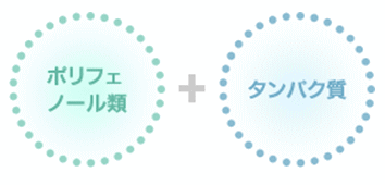 ステインとは